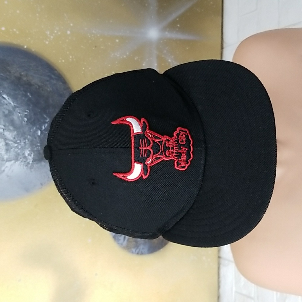 Chicago Bulls NBA Windy City Snapback Hat